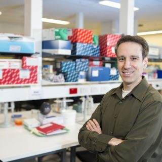 Associate Professor Ron Firestein from the Cancer Genetics and Functional Genomics Research Group at Hudson Institute
