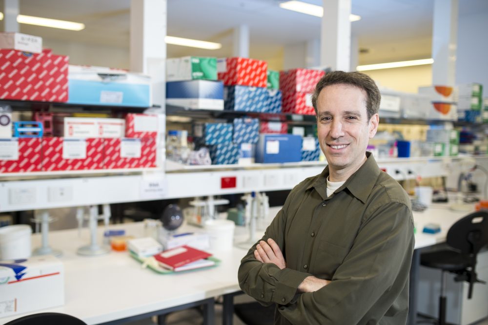 Associate Professor Ron Firestein from the Cancer Genetics and Functional Genomics Research Group at Hudson Institute