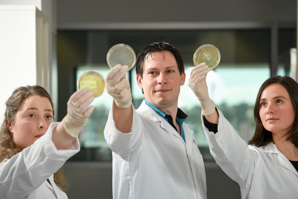 Sam Forster and Gemma D'Adamo and Tam conducting UTI research holding up petri dishes at Hudson Institute