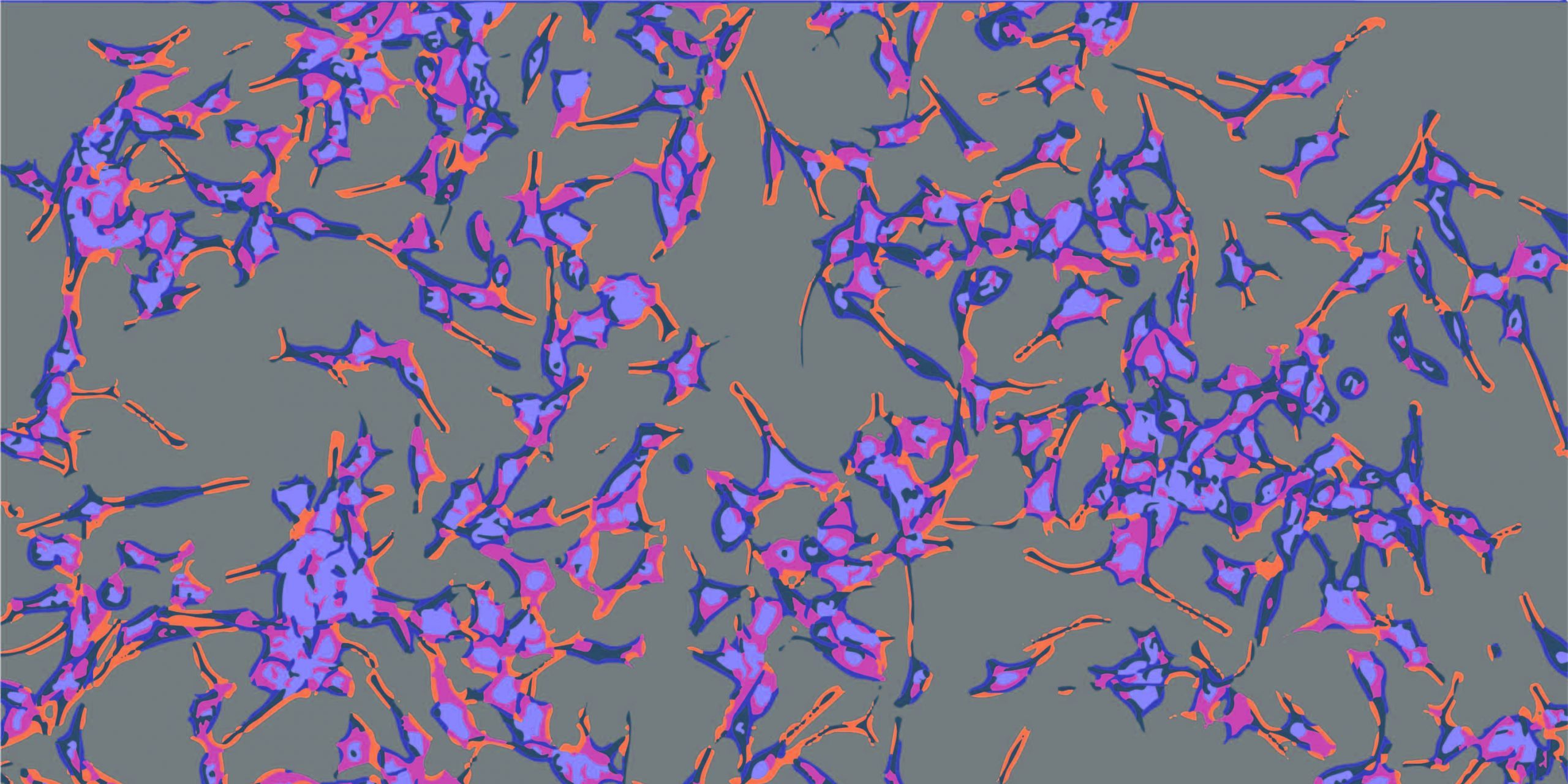 Centre for Cancer Research cell image