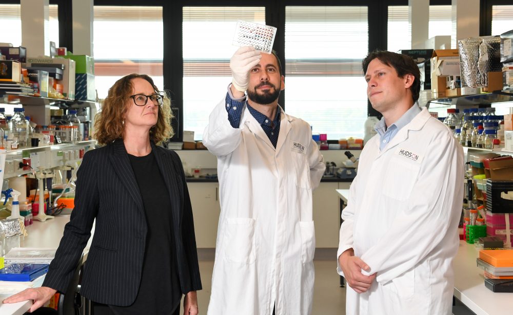 Professor Elizabeth Hartland, Associate Professor Michael Gantier, Dr Sam Forster at Hudson Institute of Medical Research working in the lab on inflammation research.