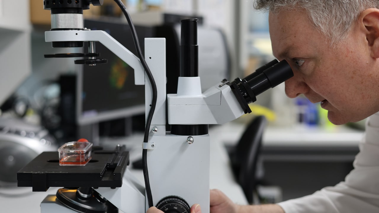 Dr Andrew Stephens working on an Ovarian cancer test in the lab at Hudson Institute