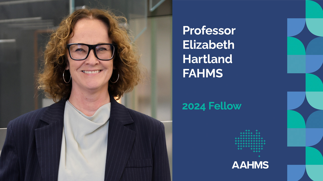 Professor Elizabeth Hartland AM AAHMS Fellow