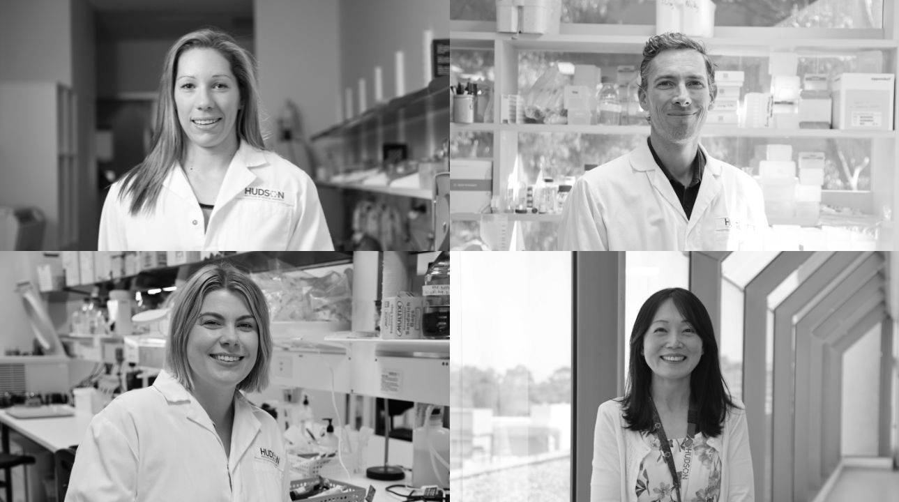 Top, L-R: Dr Courtney McDonald, Professor Seth Masters. Bottom, L-R: Dr Nicole Campbell, Associate Professor Jun Yang all receive NHMRC Investigator grants