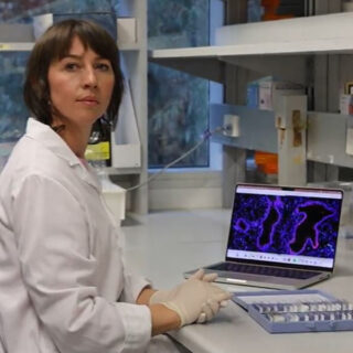 Flu And You What You Need To Know In 2025 Hudson Institute Of