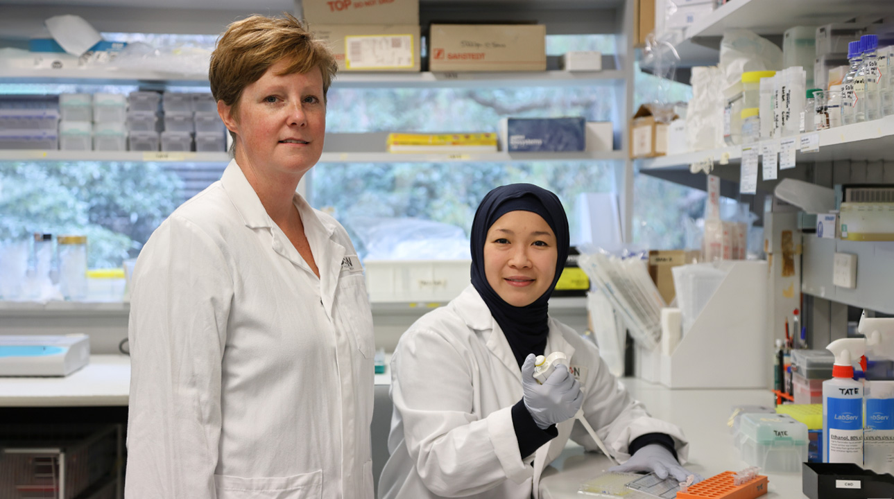 L-R: Associate Professor Michelle Tate. PhD Student Sarah Rosli's research on Flu lung damage